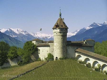 "Alpenmunot"